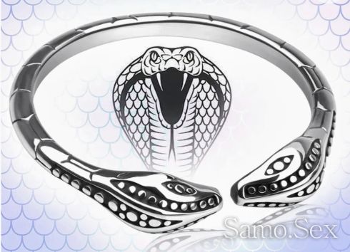 Limited Edition Cooking Ring Безкрайна Змия -  снимка 1