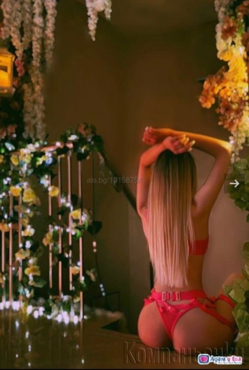 Николета нова