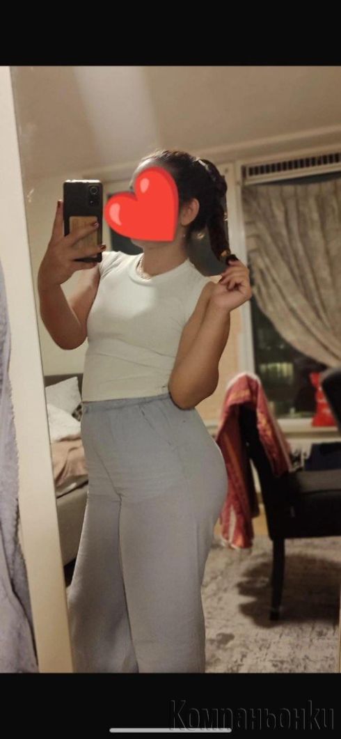 Novasam v grada s koleska