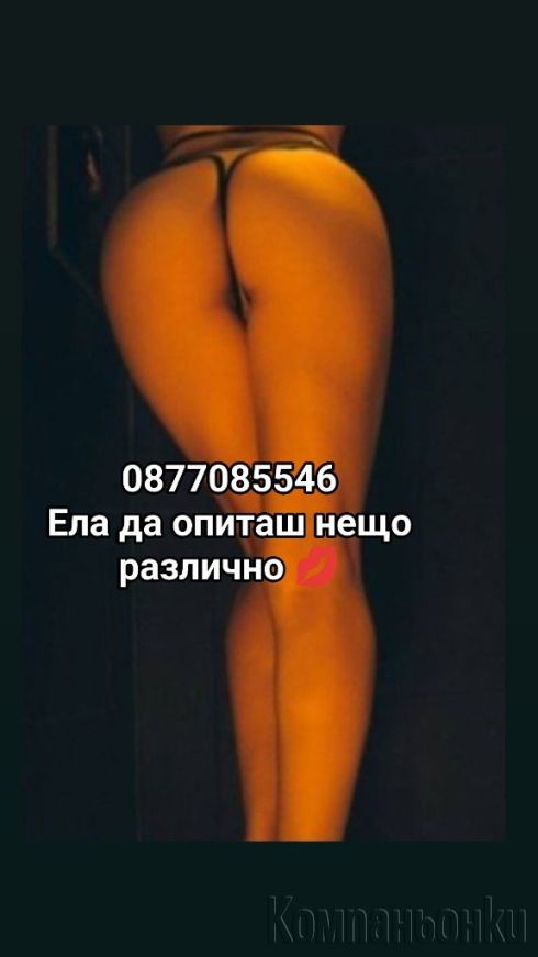 Топ Транс ела да опиташ сладка наслада