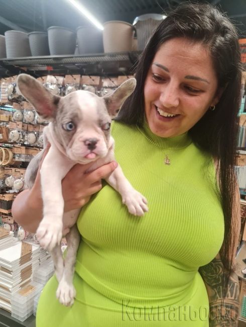 🥂LUXURY ESCORT🥂