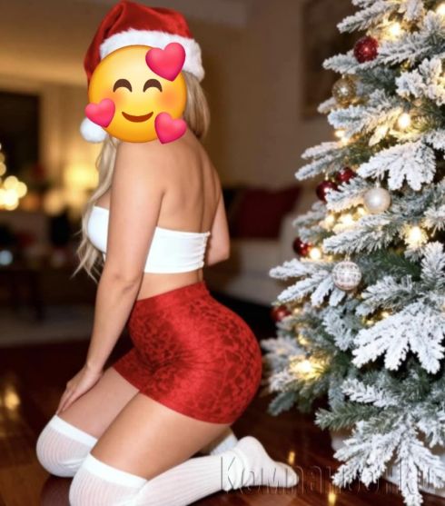 Само днес френска без във цената