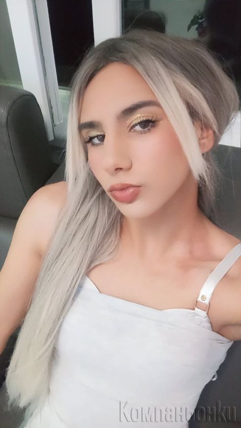 Trans macka