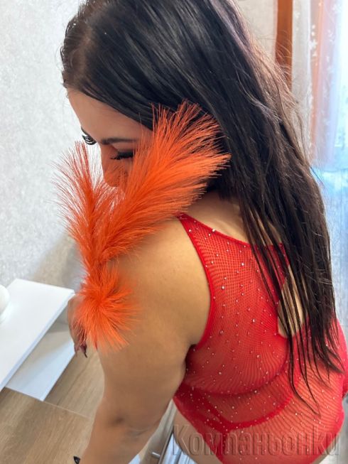 Ново котенце