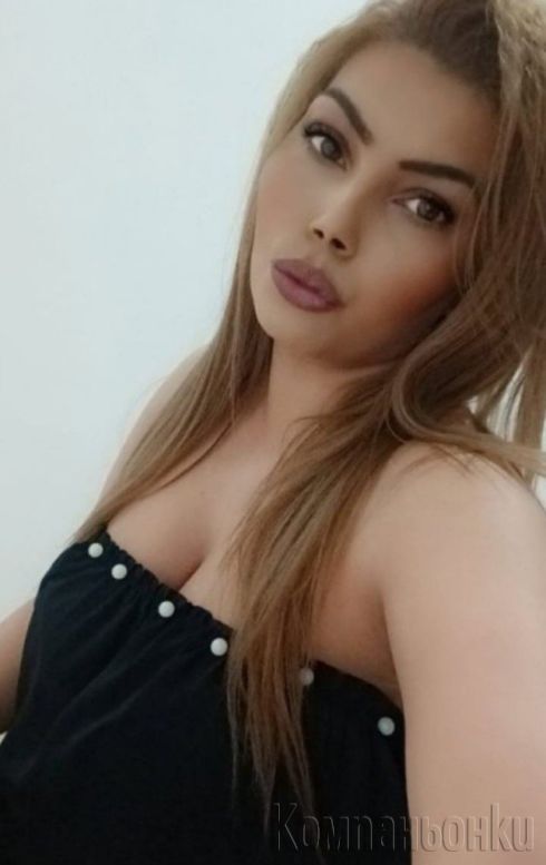 Nova v grada