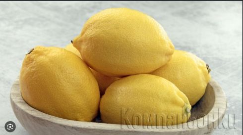 Тестина стандарт